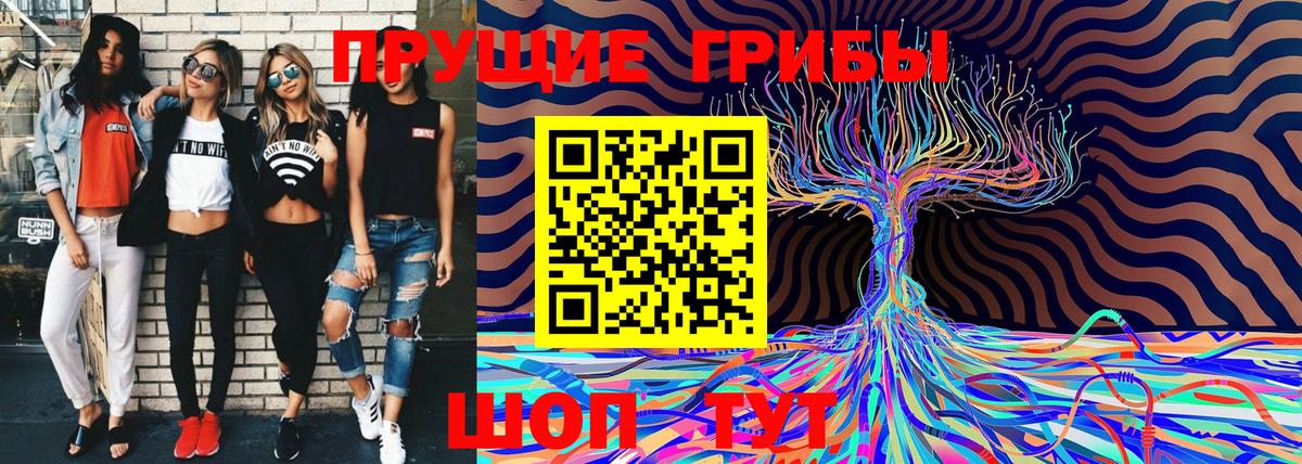Галлюциногенные грибы Cubensis  Вход с VPN  как найти   Благовещенск 