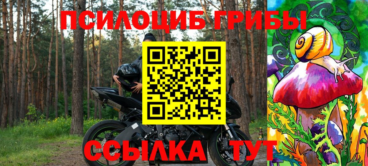 Галлюциногенные грибы Magic Shrooms Благовещенск